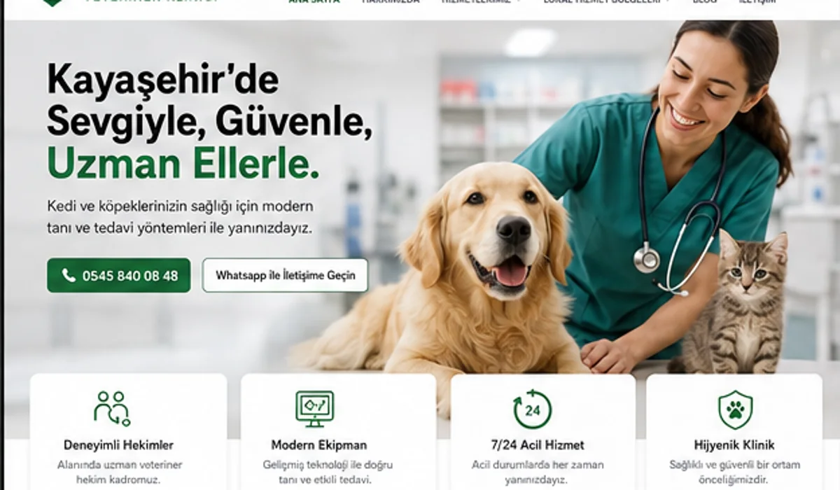 Kayaşehir veteriner kedi ve köpek muayenesi