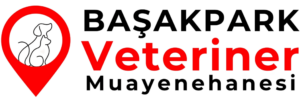 kayasehir veteriner logo kirmizi